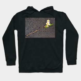 Nature's Tenacity Hoodie